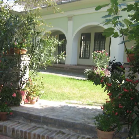Gimi
