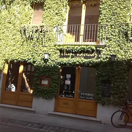 Gimi Baja