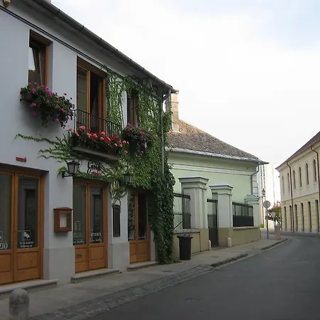 Penzion Gimi Vendeghaz 3*