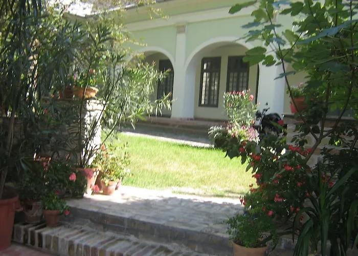 Gimi